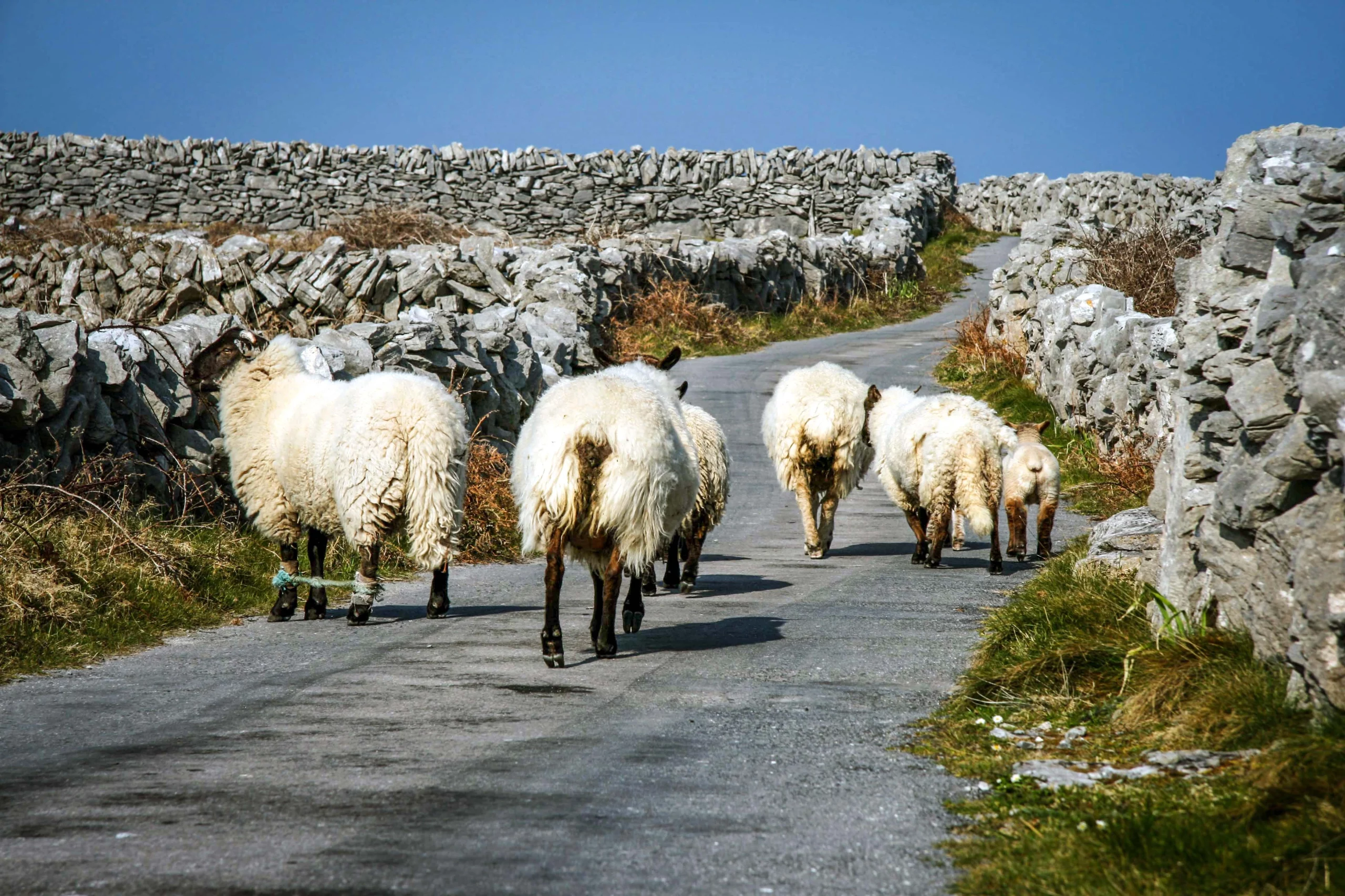 Do people actually live on the Aran Islands?